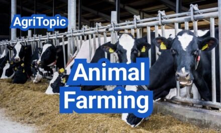 Animal Farming Business: U.S. Costs, Models and Profit