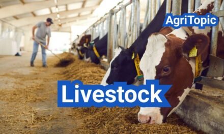 Livestock: Everything You Need to Know