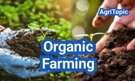 Organic Farming: A Comprehensive Guide