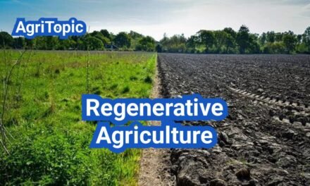 Regenerative Agriculture: How It Works, Inputs & Outcomes
