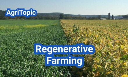 Regenerative Farming: A Comprehensive Guide