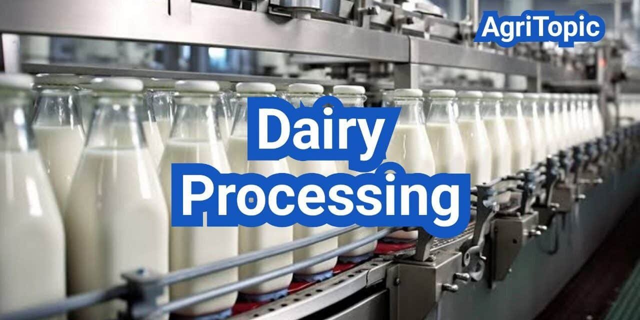 Dairy Processing In The Us A Comprehensive Guide Agritopic 
