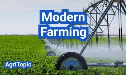 Modern Farming Methods: Definition and Examples