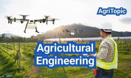 Agricultural Engineering: Definition, Careers and Examples