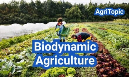 Biodynamic Agriculture: Definition, Principles, Method, Benefits, Practices & Examples