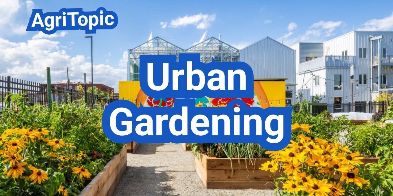 Urban Gardening Tips for Beginners | Easy Small-Space Guide