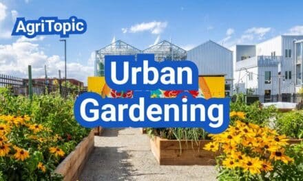 Urban Gardening Tips for Beginners | Easy Small-Space Guide