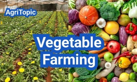 Vegetable Farming: A Comprehensive Guide