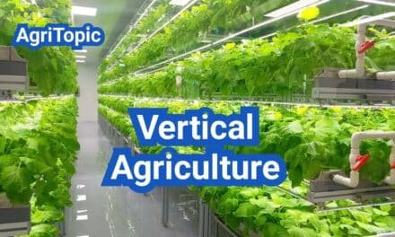 Vertical Agriculture: Definition, Technology, Systems, Equipment and Examples