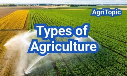 Types of Agriculture: 18 Farming Systems And Examples