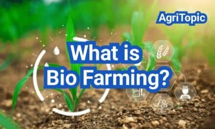 What is Bio Farming? Everything You Need to Know