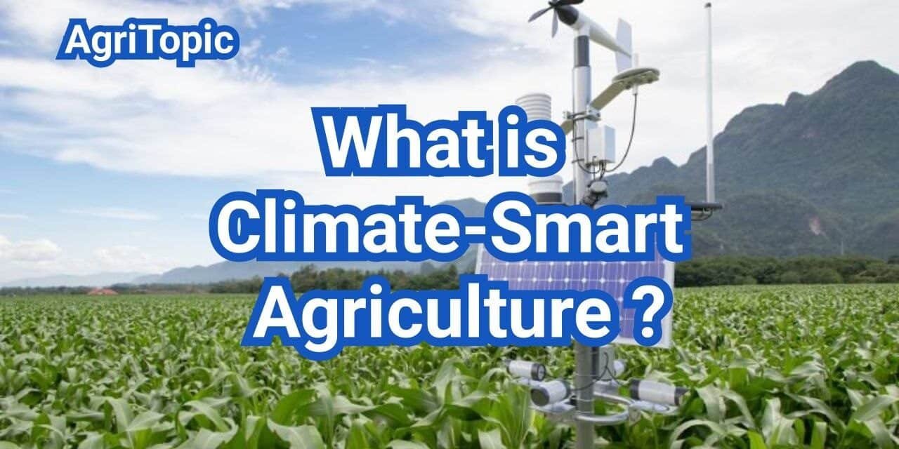 What is Climate-Smart Agriculture? A Comprehensive Guide