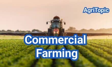 Commercial Farming: Definition, Types & U.S. Examples