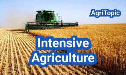What is Intensive Agriculture? Types, Examples And Practices