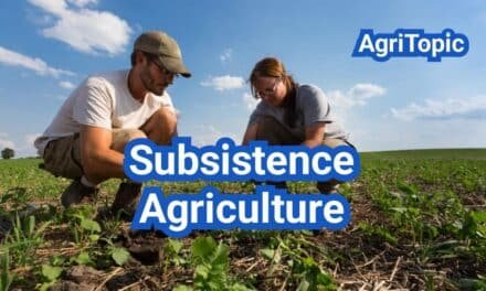Subsistence Agriculture: Definition, Examples, Types & Tools