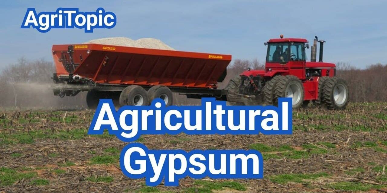 What is Agricultural Gypsum? Fixing Sodicity & Improving Soil Structure—Does It Pay?