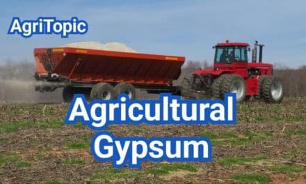 What is Agricultural Gypsum? Fixing Sodicity & Improving Soil Structure—Does It Pay?