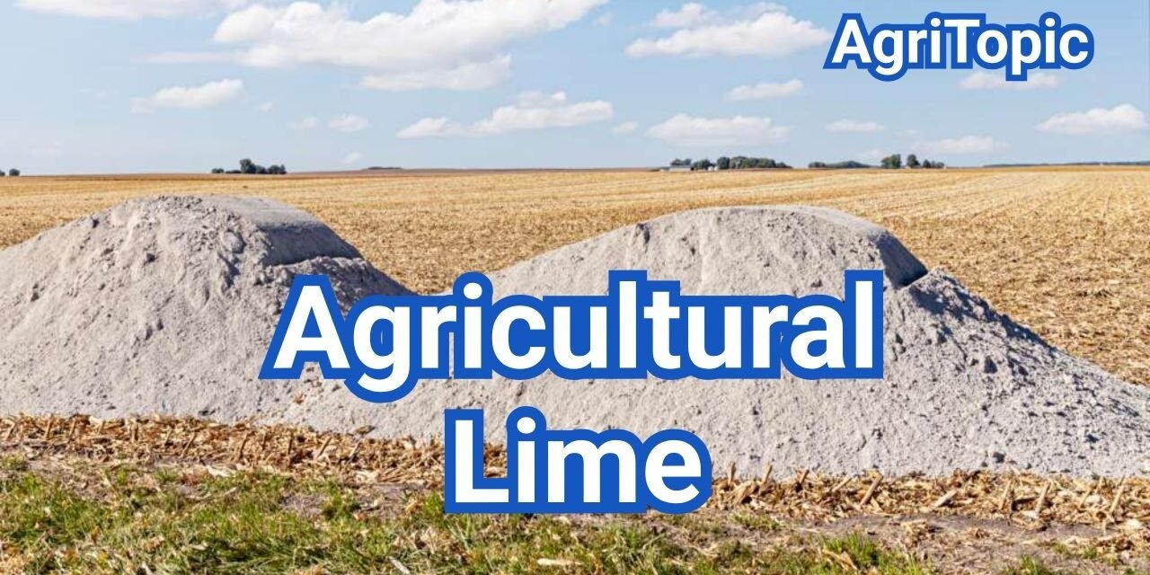 What is Agricultural Lime? When to Apply, How Much & Results to Expect