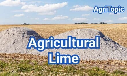 Agricultural Lime: Uses, Soil Tests and Rates per Acre