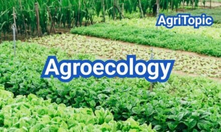 What is Agroecology? 13 principle, Practice & Soil-First Systems