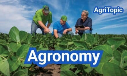 Agronomy Explained: Core Principles & Field Practices for Higher Yields