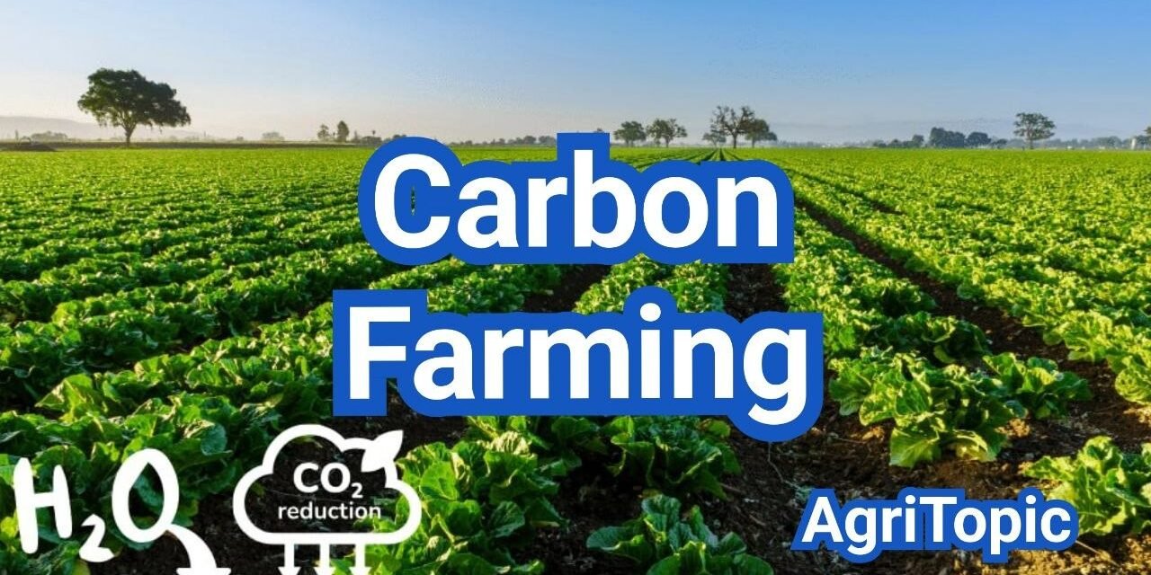 What is Carbon Farming? Programs, Payments & Verification Basics (U.S. Guide)
