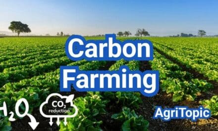 What is Carbon Farming? Programs, Payments & Verification Basics (U.S. Guide)