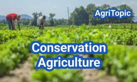 What is Conservation Agriculture? No-Till, Cover Crops & Reduced Tillage—When to Use Each