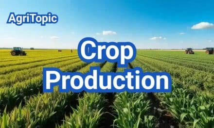 Crop Production in the U.S.: Systems, Regions & Farm Cycle