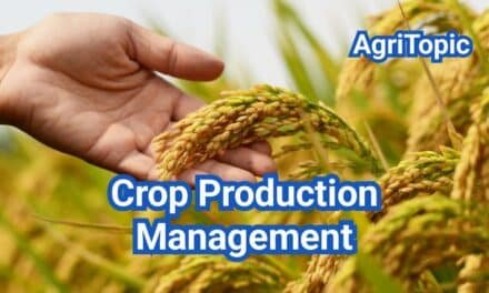 Effective Crop Production Management: U.S. Comprehensive Guide