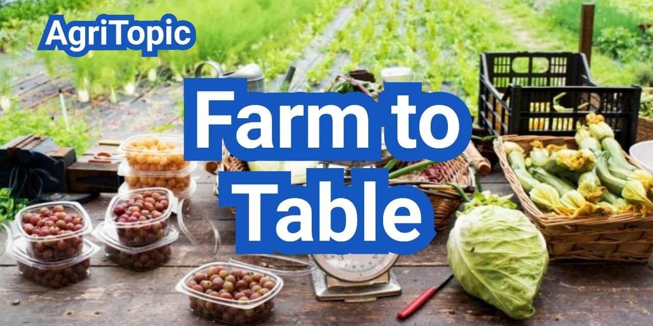 What Is Farm to Table? Meaning, Process and Technology