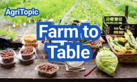 What is Farm to Table? How It Works and Why It’s Growing