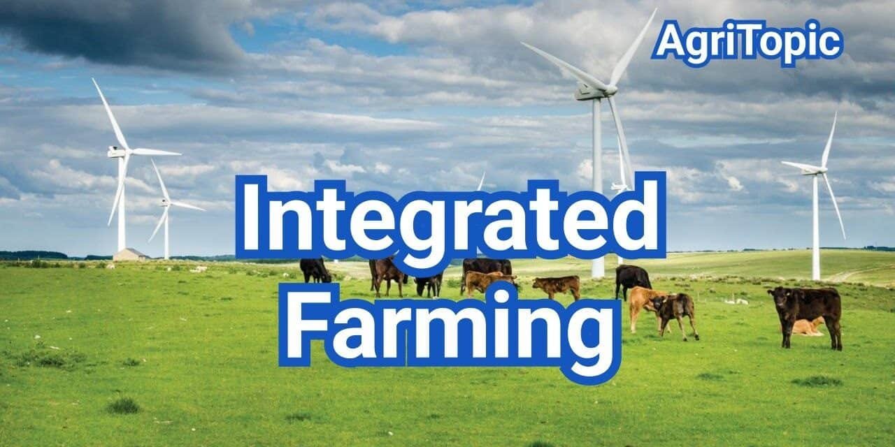 Profitable Integrated Farming Systems: Stacking Livestock, Crops & Energy