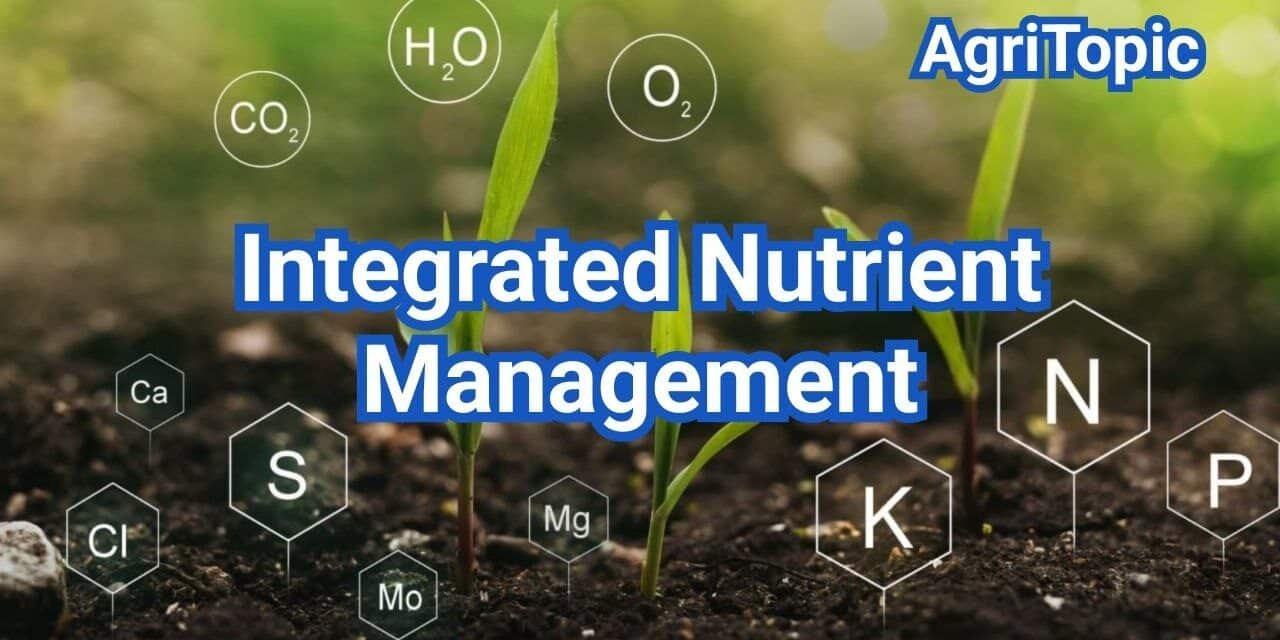 Integrated Nutrient Management: Balance N-P-K with Organic Inputs