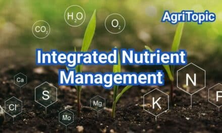 Integrated Nutrient Management: Balance N-P-K with Organic Inputs