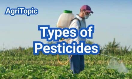 Types of Pesticides: Everything You Need to Know