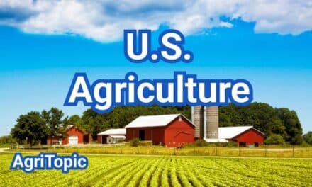 U.S. Agriculture: Sectors, Jobs and Output